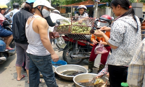 Hàng cá duy nhất trong chợ chấp nhận hòa vốn hoặc lỗ để bán hết hàng.