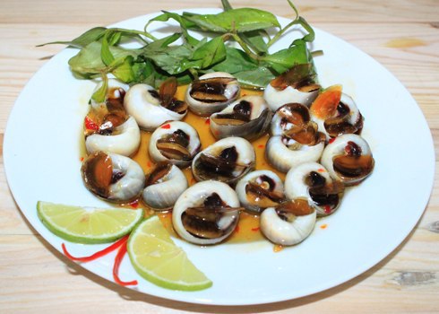 Ốc mỡ là món hải sản ngon được nhiều người ưa thích, thường được chế biến bằng cách xào, hấp, luộc... Ảnh: Khánh Hòa.