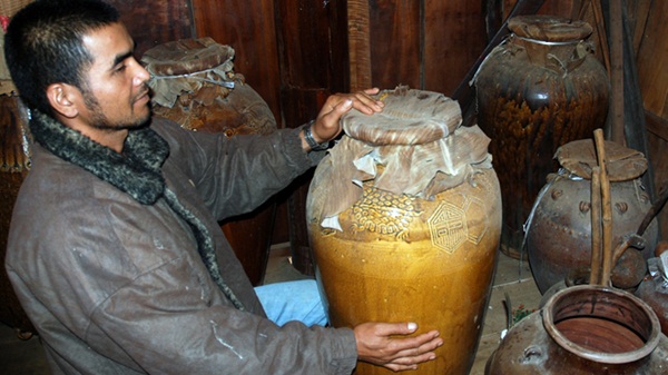 Những bình rượu cần được ủ trong ché cổ ở gia đình Amí Gzoan (huyện Cư M’Gar, Đắk Lắk) - Ảnh: T.B.D.