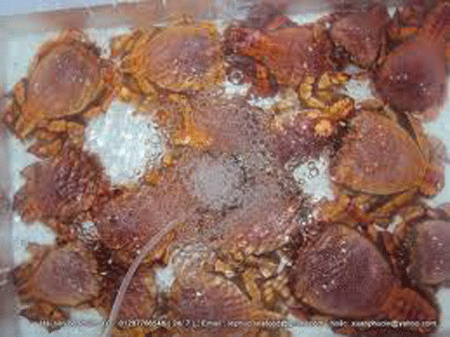 Cua Huỳnh Đế