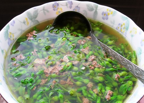 Canh hoa thiên lý