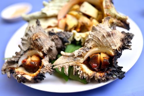 Ốc sư tử đảo.