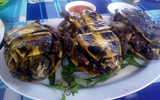Rùa rang muối