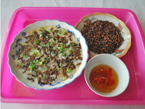 Độc đáo món cháo mối của người Cơ Tu