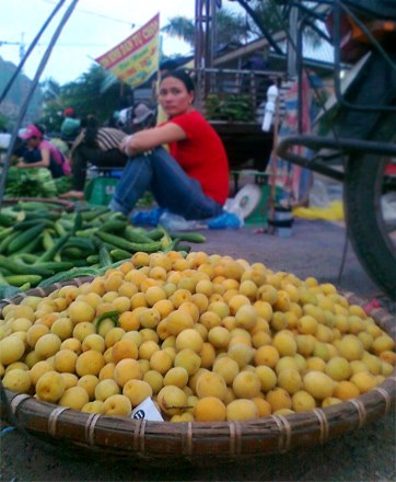 Sáng sớm trên các chợ lớn, chợ nhỏ ở Thủ đô đã bày bán loại mơ rừng Hương Tích. Ảnh: Phan Dương.