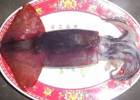 Mực sim tươi