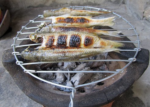 Nướng cá đối