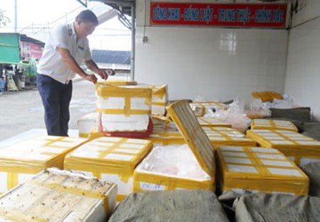 Vú heo bốc mùi bị bắt giữ