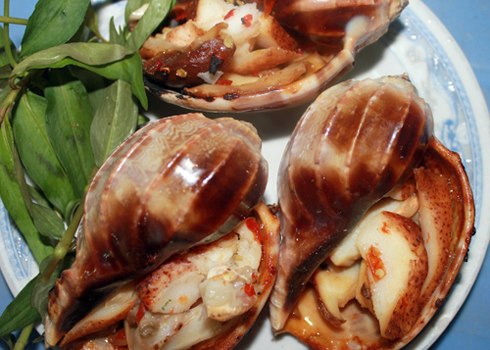 Ốc khế nướng muối ớt.