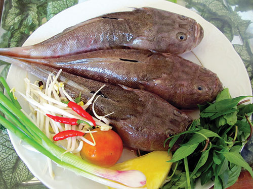 Món ngon từ cá mú gàu