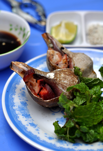 Ốc đỏ được quảng cáo là ít nơi bán ở Hà Nội.