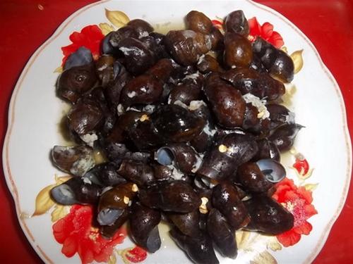 Ốc đá được rửa sạch, chặt bỏ trôn ốc trước khi chế biến thành nhiều món ăn ngon, lạ miệng - Ảnh: K.Loan