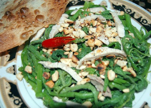 Ngọn bí trộn thịt