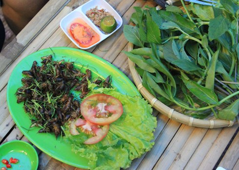 Dế ngon