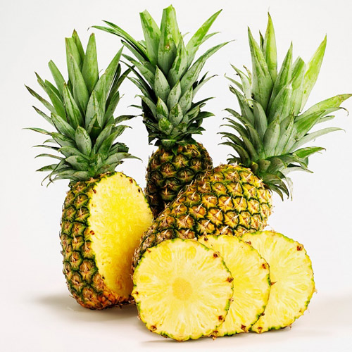 Dứa Tam Dương