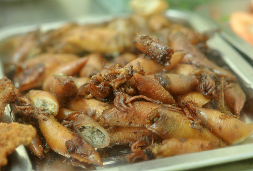 Mực trứng.