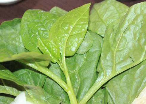 Rau mồng tơi.