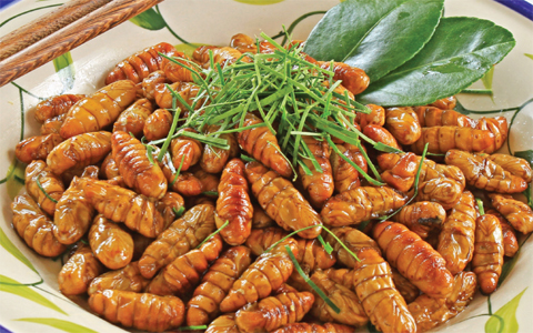 Nhộng