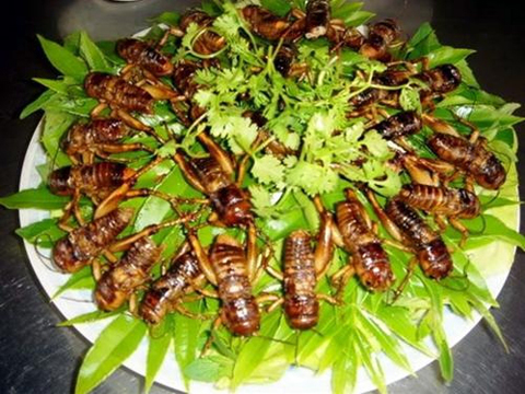 Dế mèn
