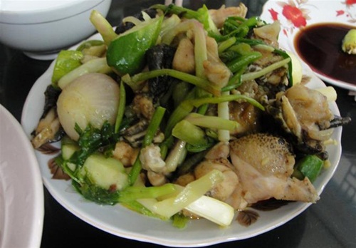 Ếch (không lột da, chỉ “làm lông”, cho cảm giác sừn sựt khoái khẩu khi nhai) xào củ hành - Ảnh: Phù Sa Lộc