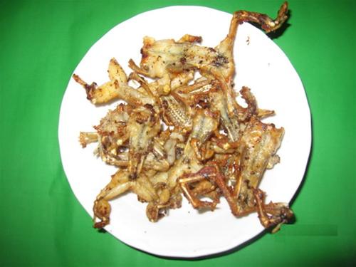 Nhái cơm chiên giòn hấp dẫn - Ảnh: T.Tâm