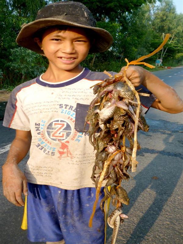 Chiến lợi phẩm - Ảnh: T.Tâm