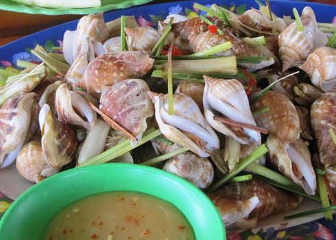 Ốc đực nhỏ