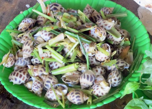 Ốc hương