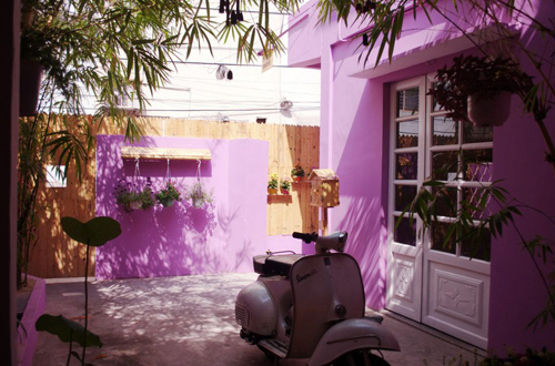 Sắc tím dịu mát mùa hè của Purple House Cafe