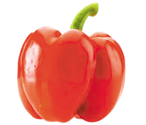 Ớt chuông đỏ