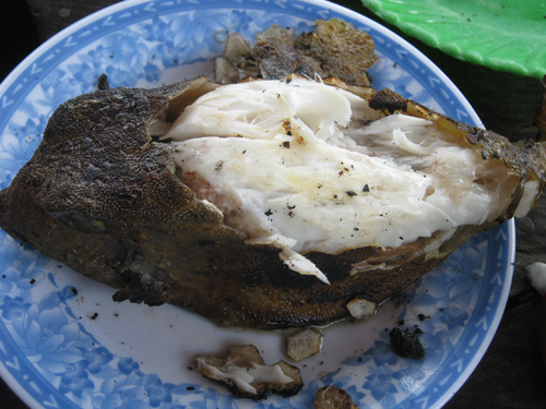 Thịt bò hòm rất trắng