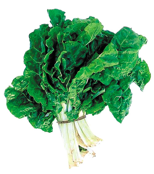 Cải bó xôi