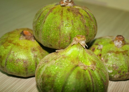 Vả tươi