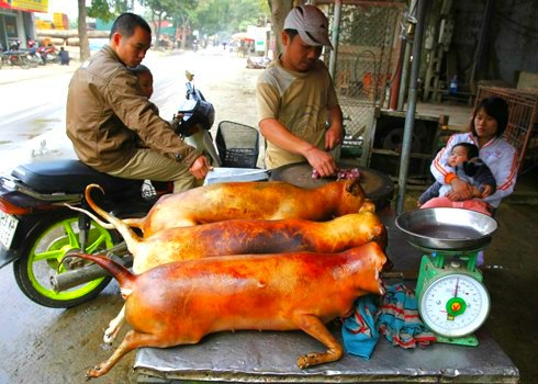 Thịt chó