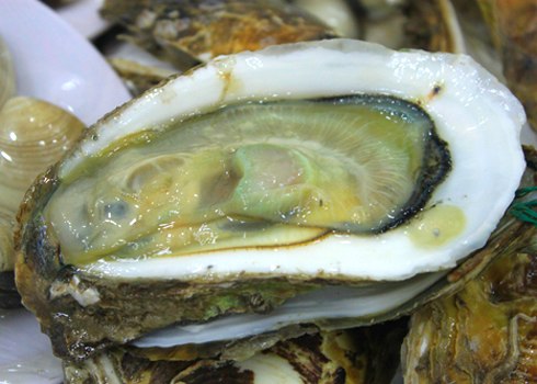 Hàu