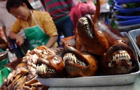 Thịt chó