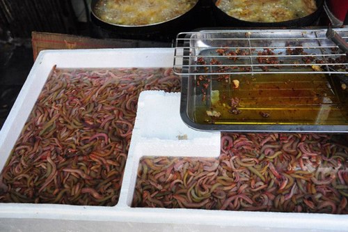 Chả rươi