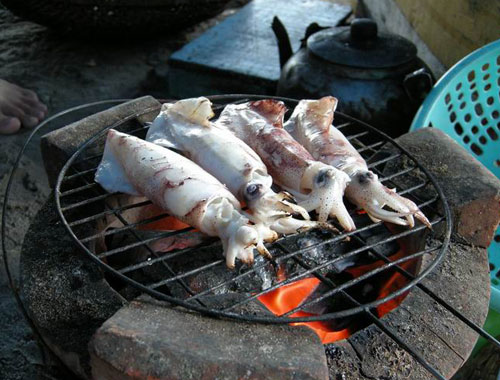 Mực nhảy