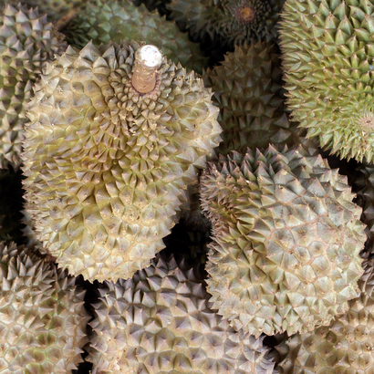 Quả sầu riêng.