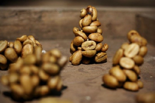 Cà phê chồn