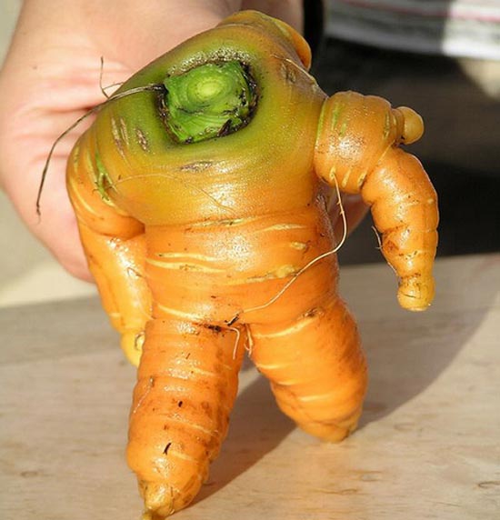 Robot cà rốt vô cùng hùng dũng nhé.