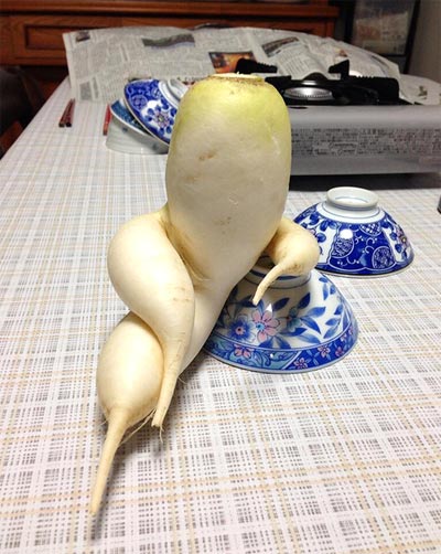Tớ là củ cải sexy đây!