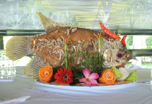 Cá tai tượng