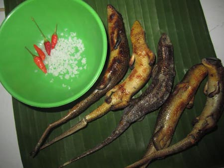 Rắn mối nướng mọi