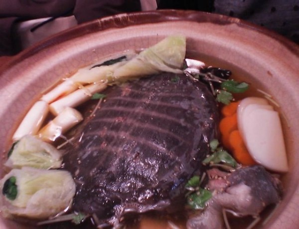 Suppon (món ăn từ thịt rùa)