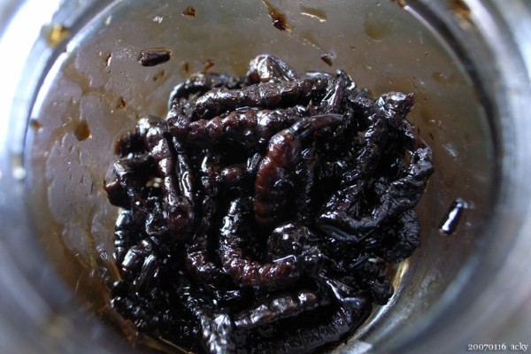 Zazamushi (Côn trùng thủy sinh)