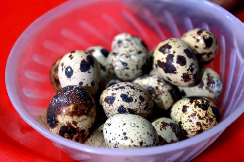 Trứng cút lộn