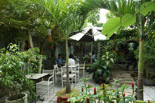 cà phê Trung Du Xanh