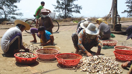Người bắt nghêu tại bãi biển 30-4