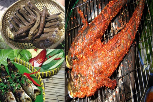 Cá Thòi Lòi được đánh giá là sản vật của vùng ngập mặn Cà Mau